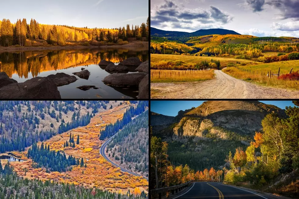 12 Amazing Colorado Drives for Viewing the Fall Colors