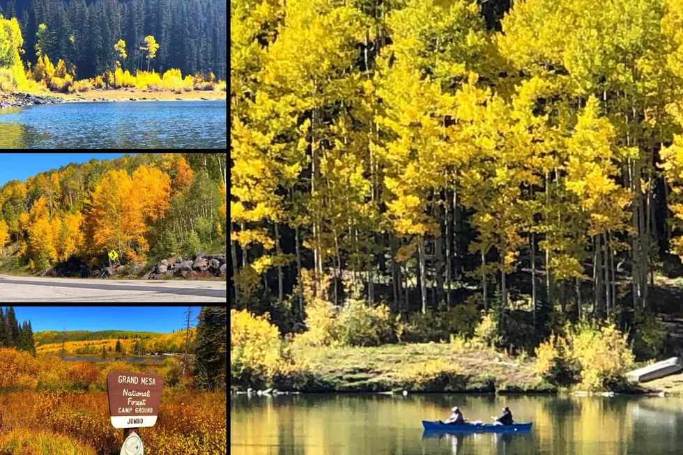 Photos from Fall Color Weekend on Colorado's Grand Mesa
