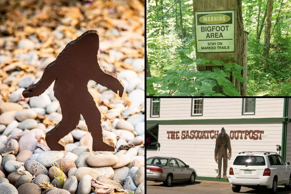 Can You Find Bigfoot at Colorado’s Sasquatch Outpost in Bailey?