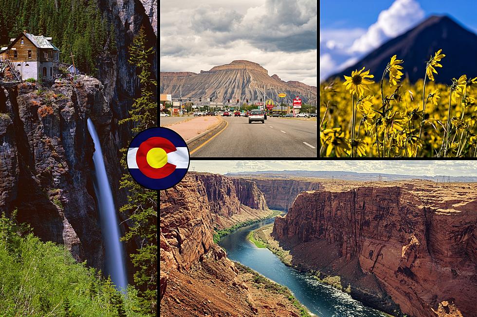 The Best Part of Summer in Colorado in 5 Words or Less