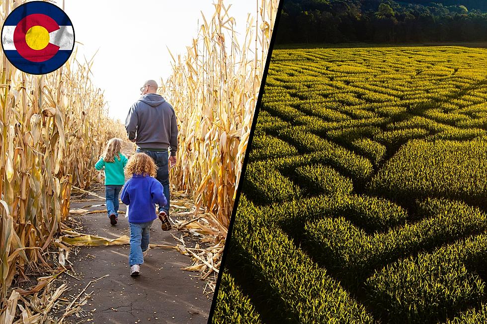 Have Fun Exploring 18 of Colorado's Best Corn Mazes This Fall