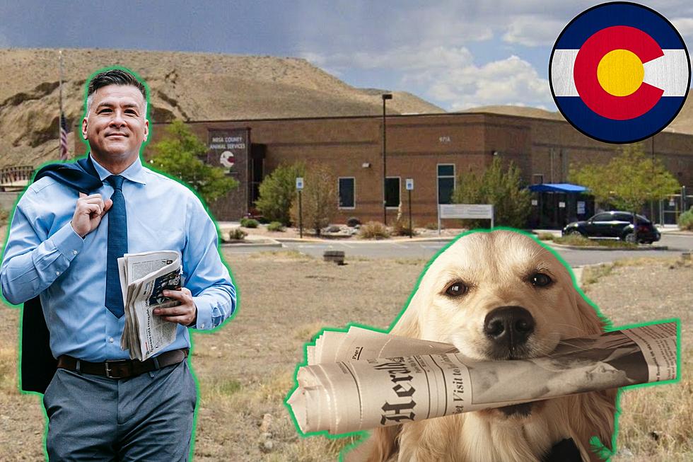 Colorado Animal Services Needs Help With Newspaper Donations