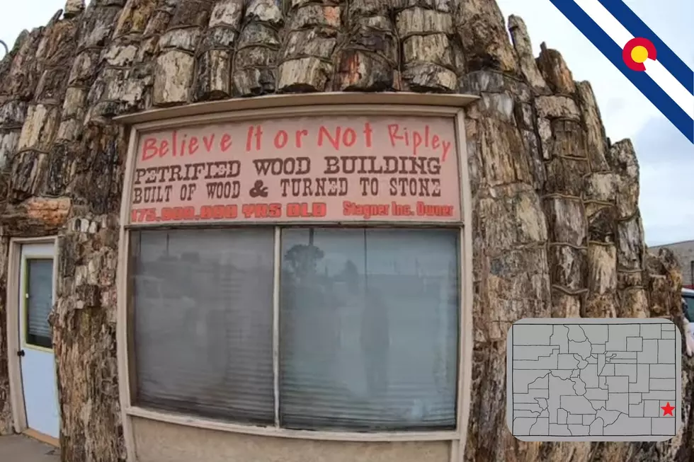 The Remarkable History Of Colorado's Petrified Wood Gas Station