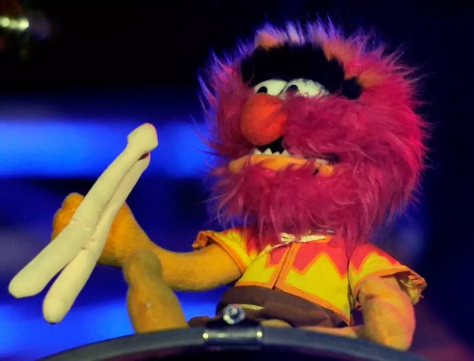 If ‘Animal’ From the Muppets Were  A Real Life Drummer  This Is What He Would Look Like [VIDEO]