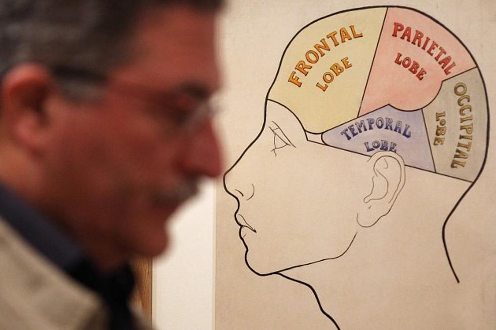 Are You Right-Brained or Left-Brained? Take Our Test and See
