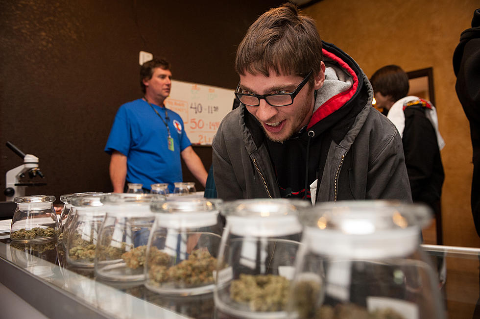 Marijuana Survey Says Denver May Be the Most Stoned City In the US