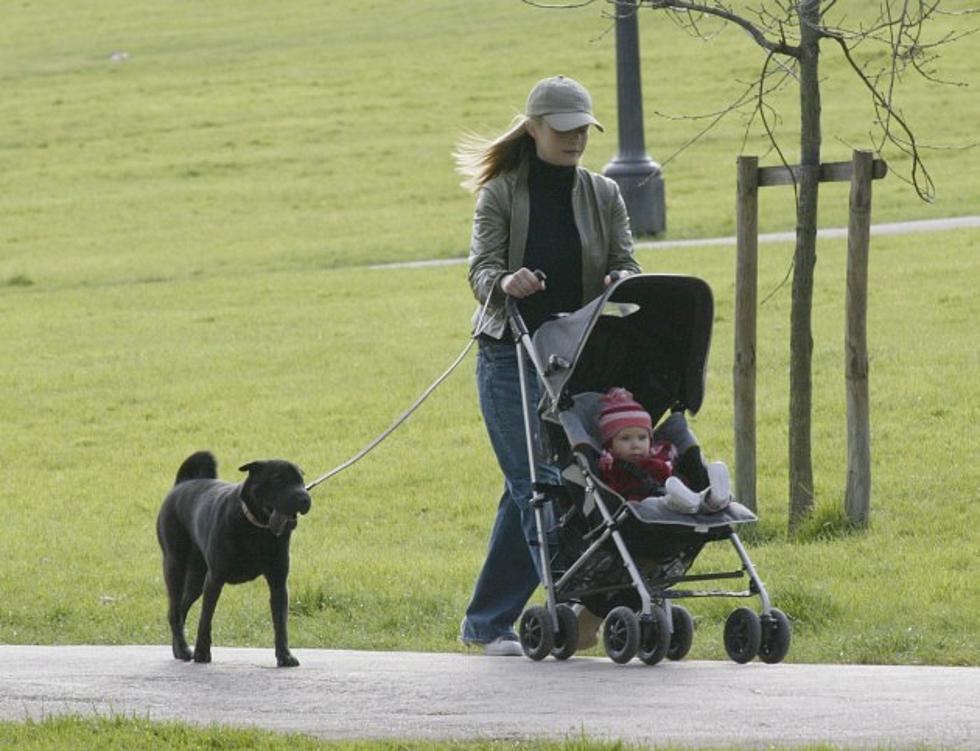 Five Must-Do’s For Grand Junction Dog Walkers