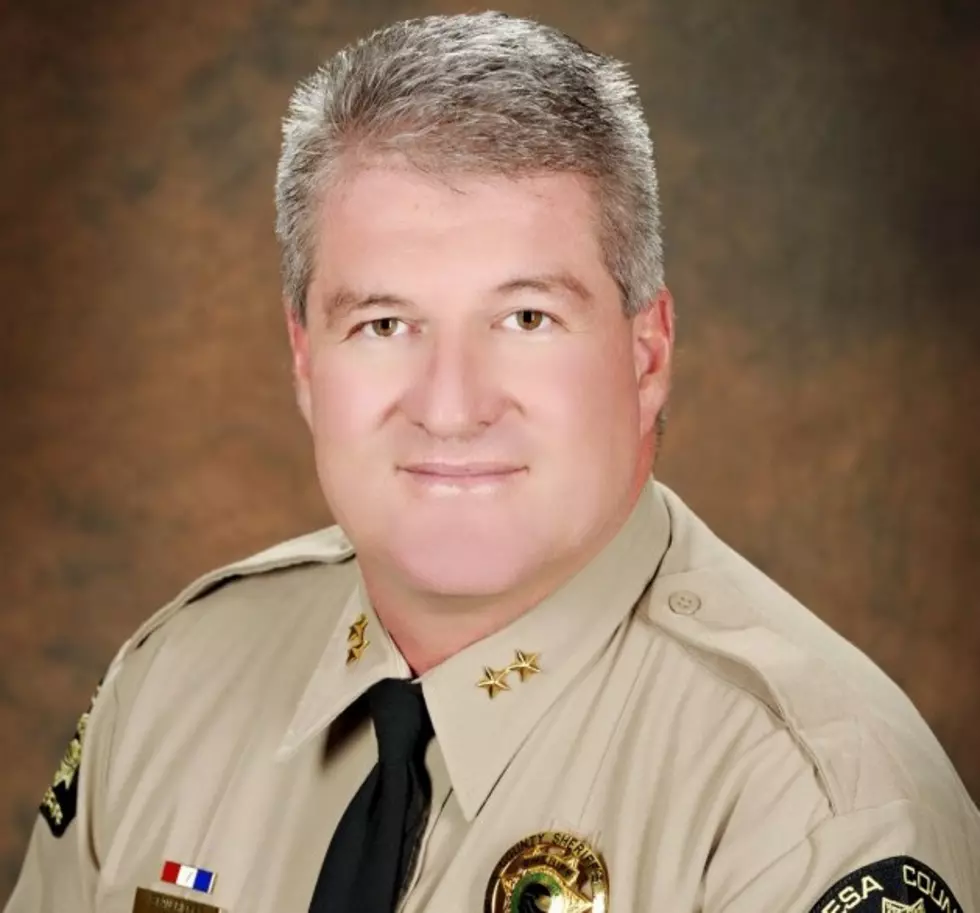 Mesa County Sheriff Stan Hilkey to Step Down