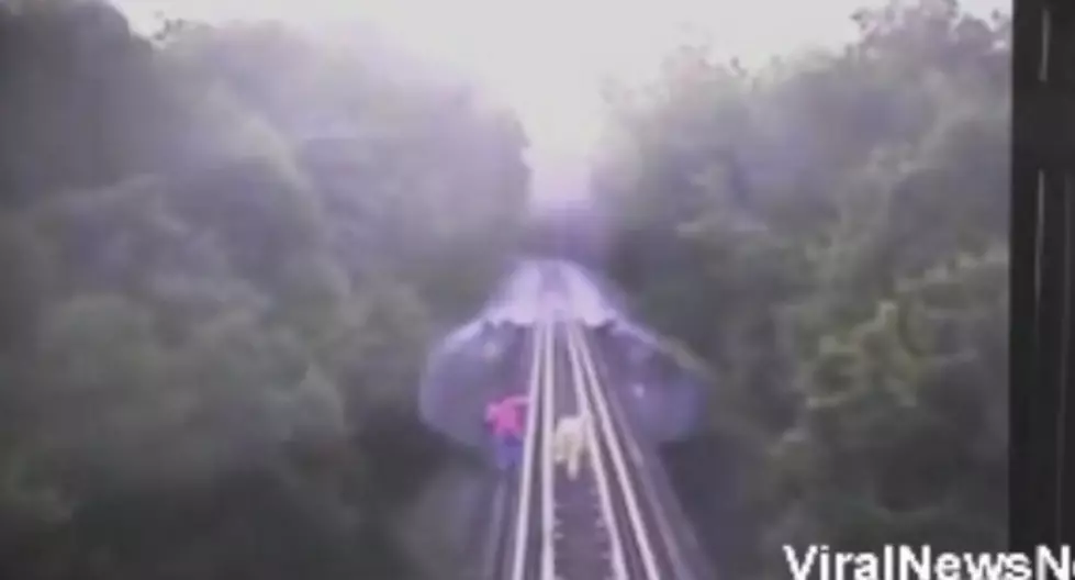 Dramatic Video of Two Women  Nearly Hit by a Train [VIDEO]