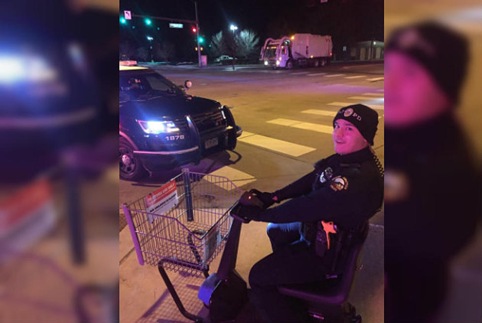 Grand Junction Police Respond to ‘Grand Theft Cart’ [PHOTO]