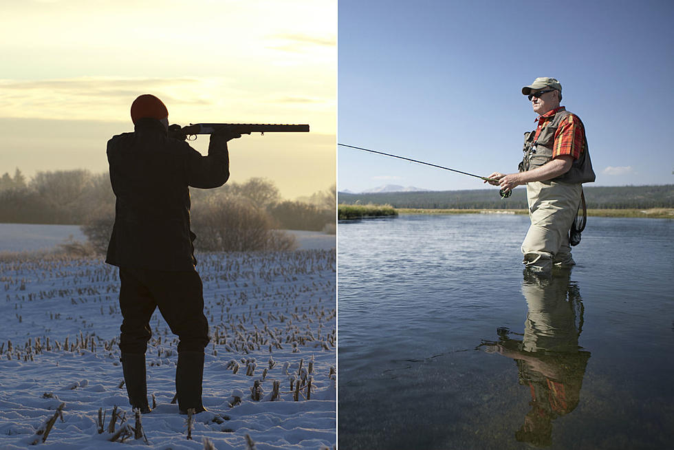 Should Colorado Veterans Receive FREE Hunting & Fishing Licenses?