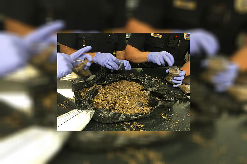Busted, Colorado Man Walks Into Hospital With Trash Bag Full of Pot