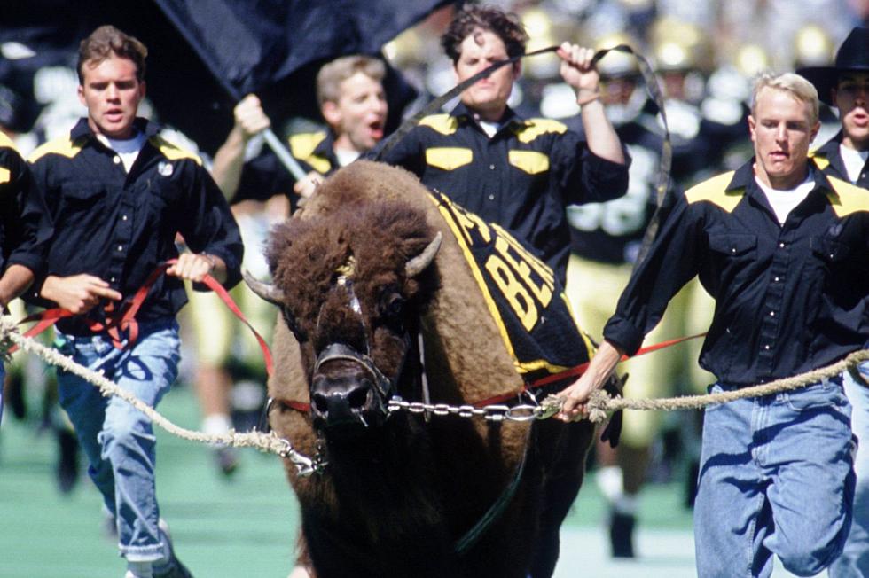 University of Colorado's 'Ralphie' Is An  'All-Time Great'