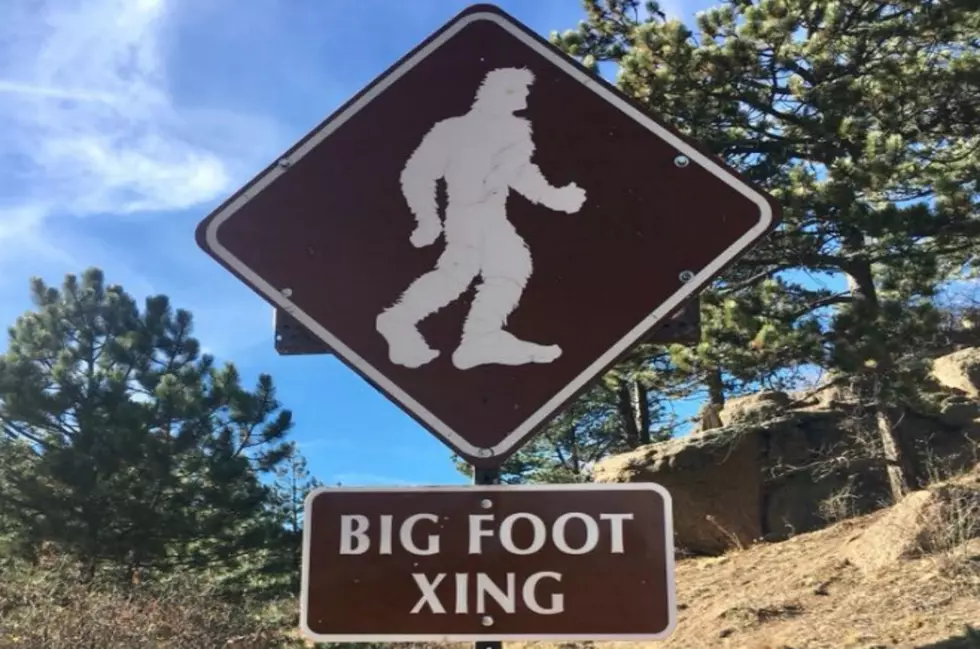 Greatest Evidence to Date that Bigfoot Lives in Colorado