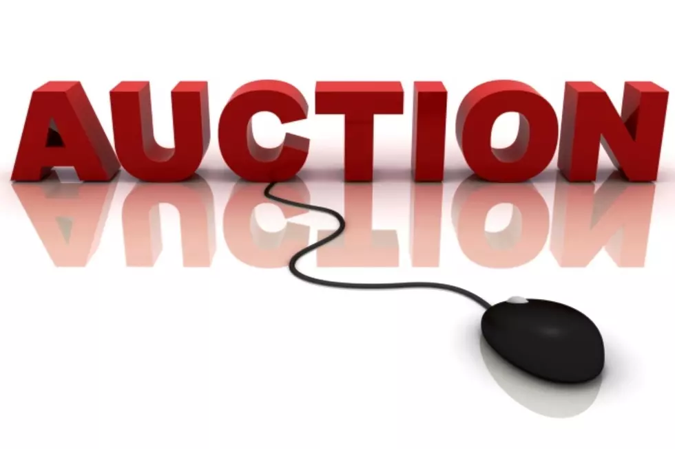 400 Reasons to Bid During Partners of Delta, Montrose and Ouray Online Auction
