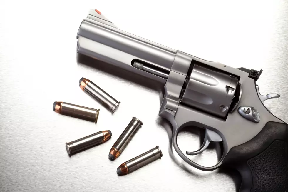 Understanding Colorado's Firearm Law