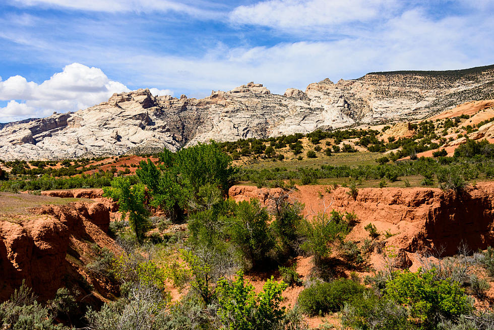 Colorado Spring Hikes: Go Off-Trail at Dinosaur National Monument