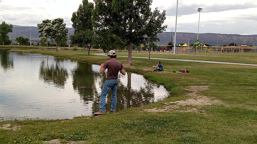 5 Great Grand Junction Parks for Take a Walk in the Park Day