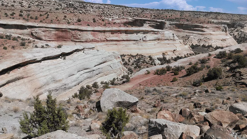 Looking For Mammoths, Sloths and Dinosaurs in Western Colorado