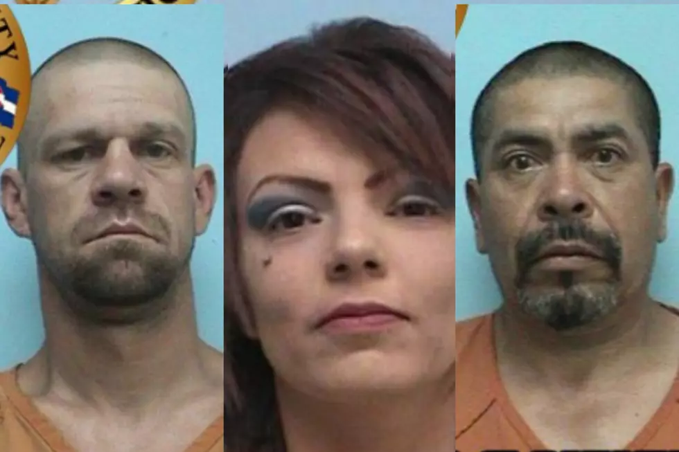 Montrose Most Wanted: Drugs, Child Abuse, Criminal Impersonation