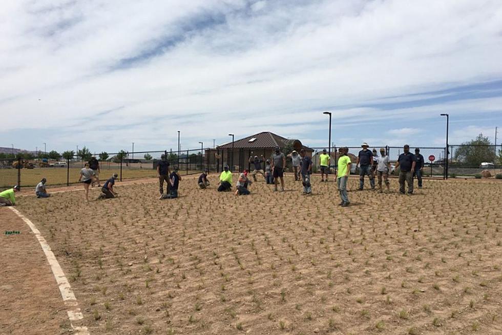 Progress Continues on Grand Junction's New Dog Park
