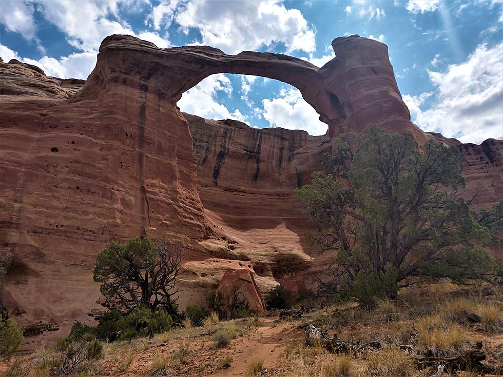 Grand Junction Is Home to World’s Second Largest Cluster of Arches