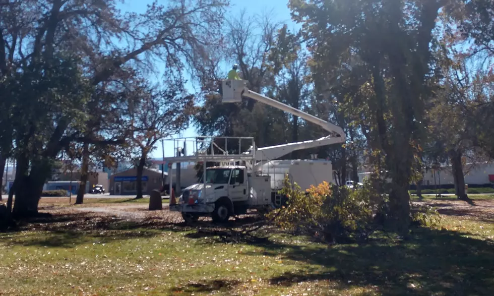 City of Grand Junction Responds To Snow Storm Damage
