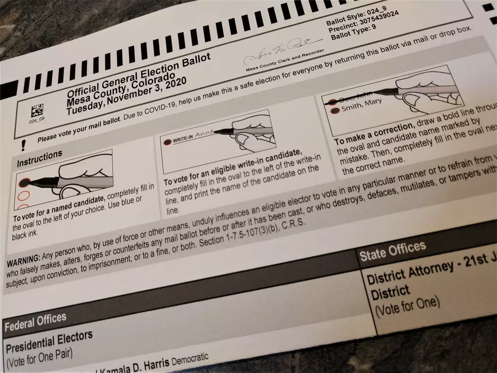 Accepted or Rejected: How To Check Your Ballot’s Status