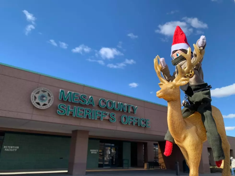Deputy Ralphie Returns to Grand Junction For the Holidays