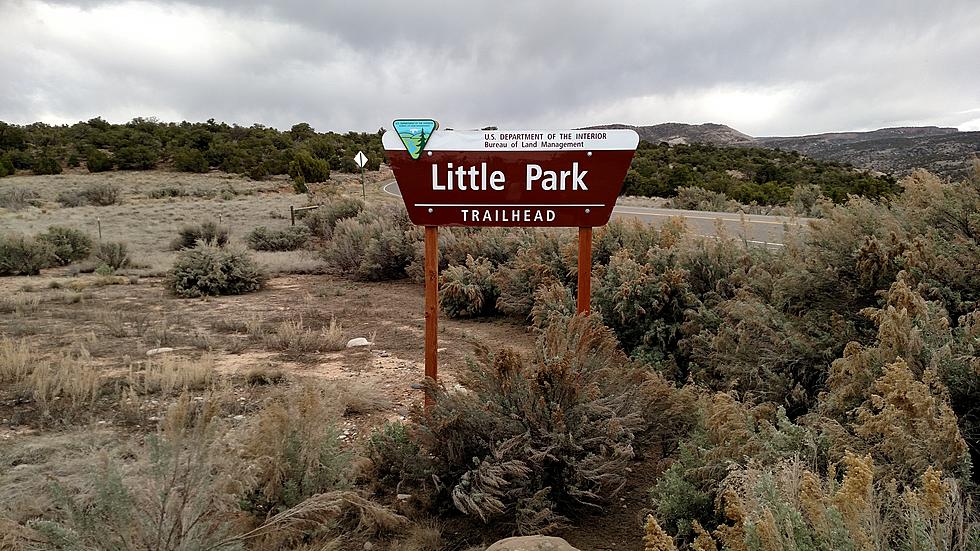 Little Park Trail Is An Awesome Grand Junction Hike
