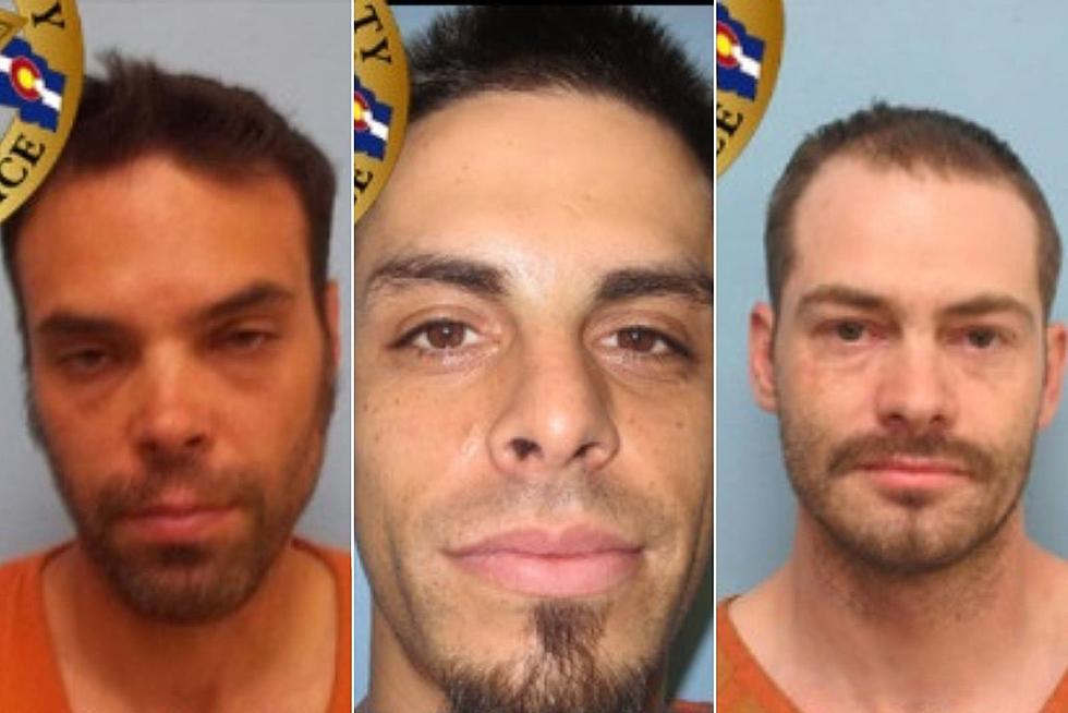 Montrose Most Wanted: Drugs, Domestic Violence, Identity Theft + More