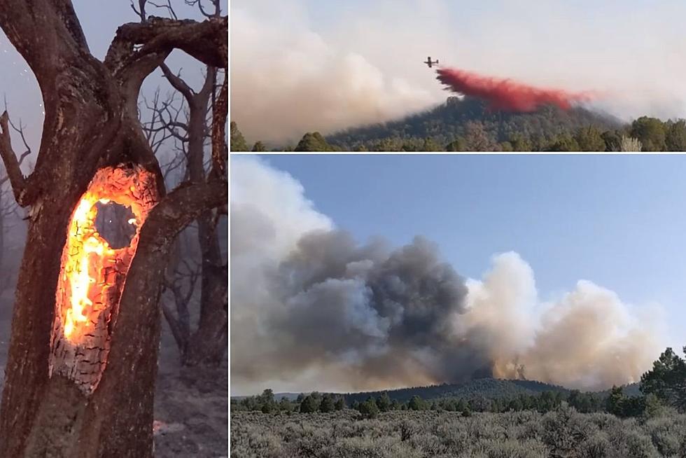 Wild Horse Fire Update: Wildfire Near Grand Junction 90% Contained
