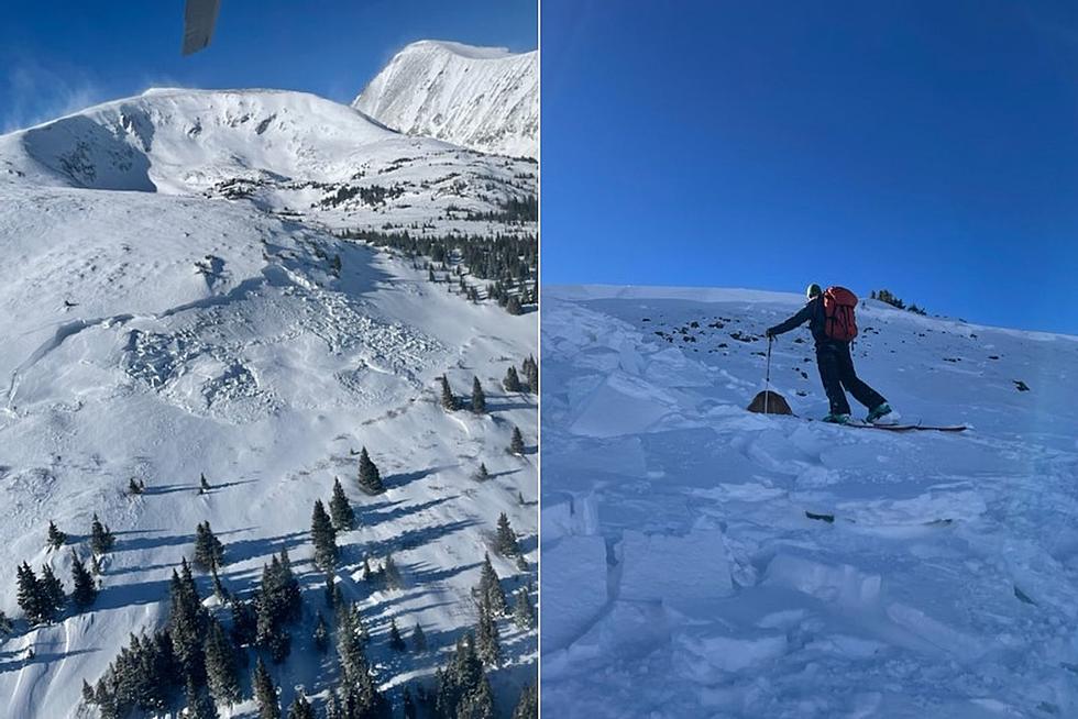 Two Colorado Snowshoers and A Dog Killed In Weekend Avalanche