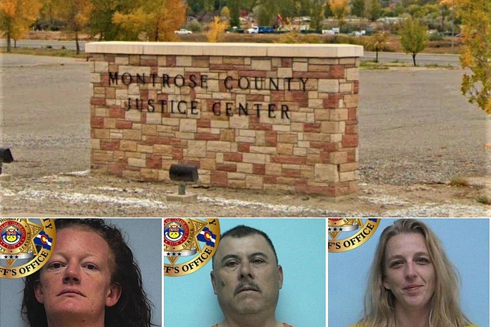 Montrose Most Wanted: Domestic Violence, Forgery, Criminal Mischief