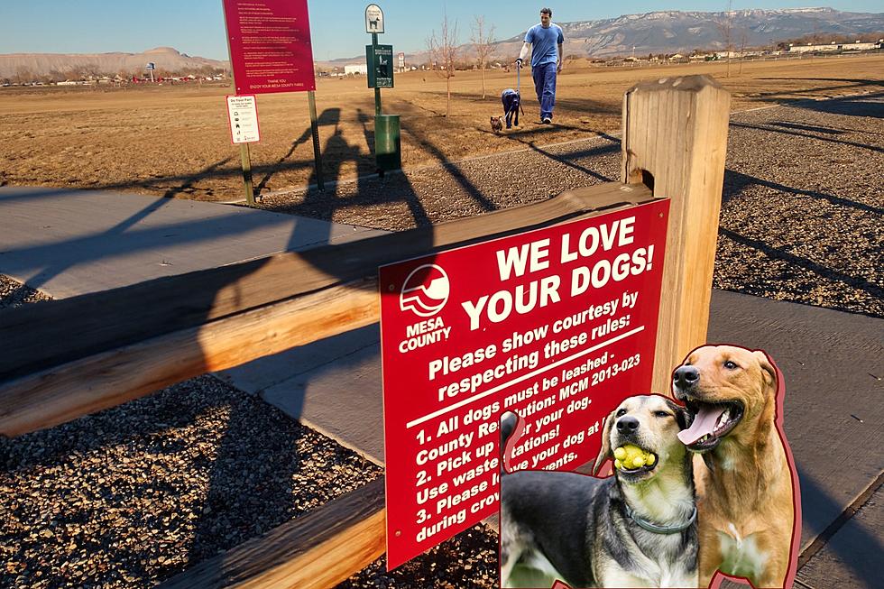 The Grand Junction Park For Dogs That Isn’t A Dog Park
