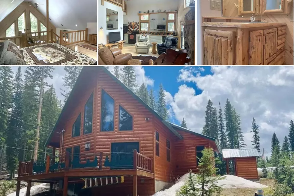 Luxurious Log Cabin For Sale On the Grand Mesa Under $500k
