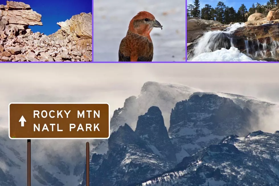 25 Things You Need to Know Before Visiting Colorado’s Rocky Mountain National Park