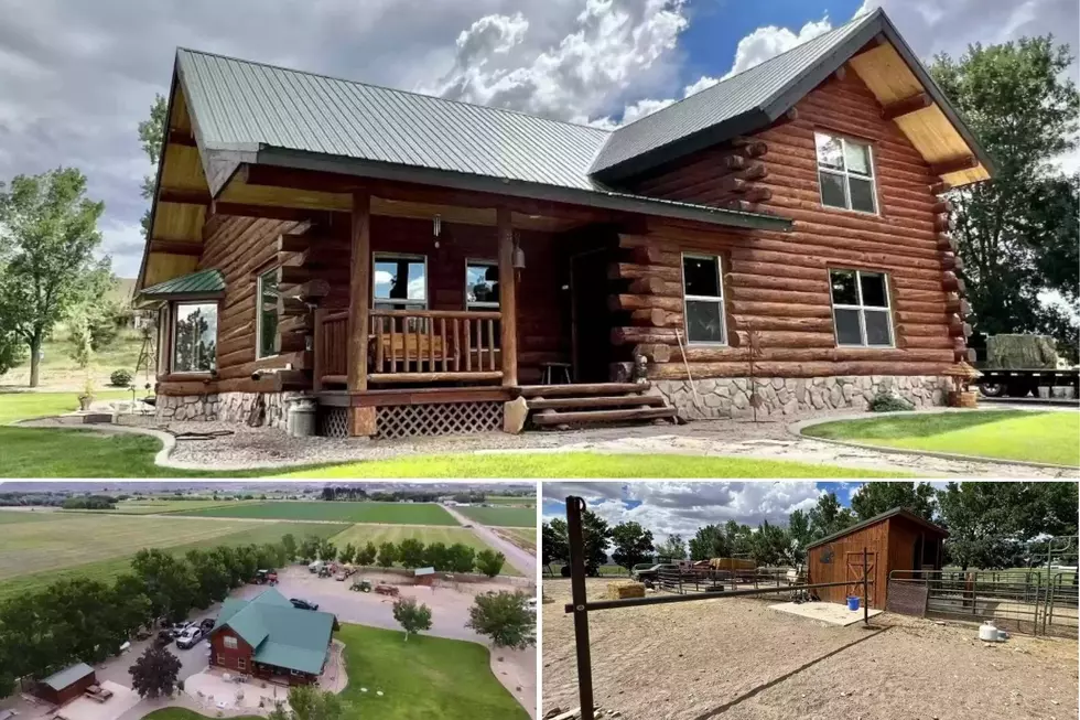 Stunning Delta Log Home With 57 Acres Is Horse Owner's Dream