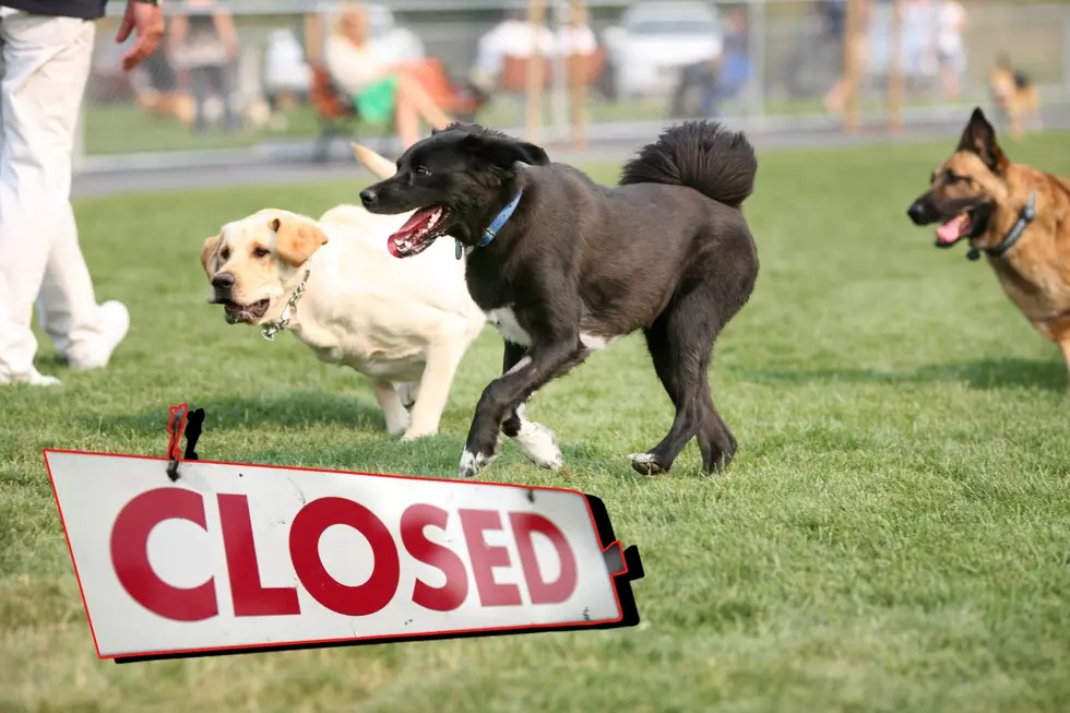 Popular Grand Junction Dog Park Sections Closing For the Season