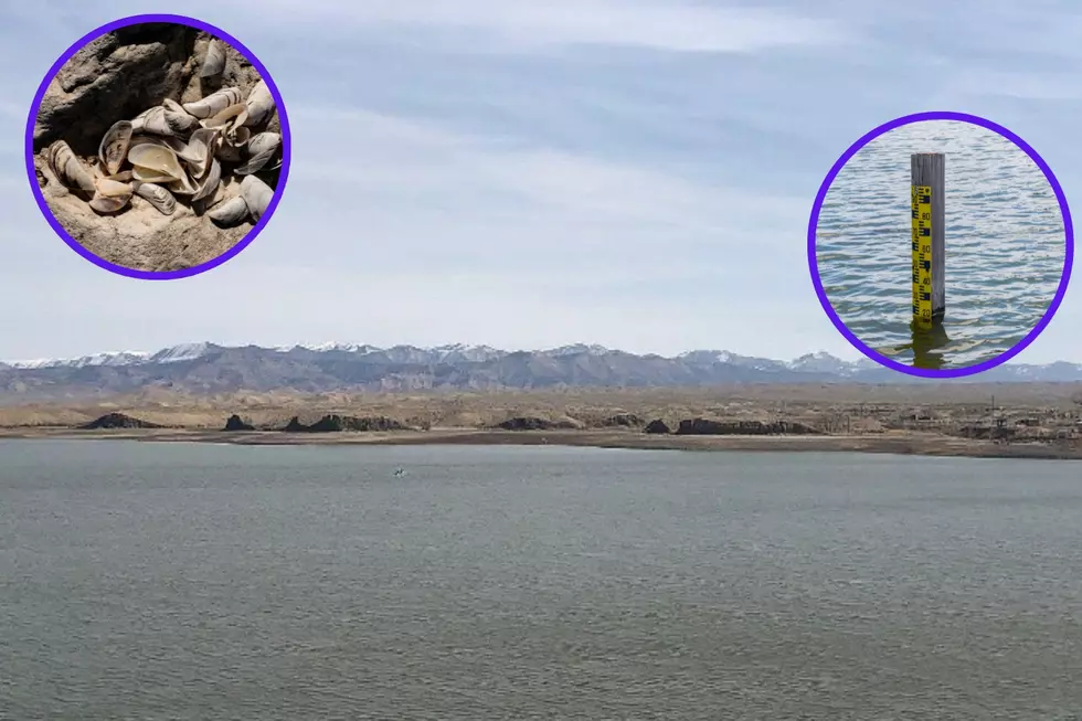 Water Level Being Lowered At Infested Western Colorado Lake