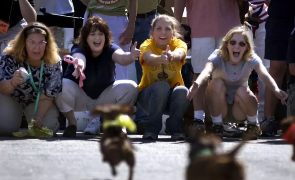 Get Signed Up for the 7th Annual Wiener Dog Races