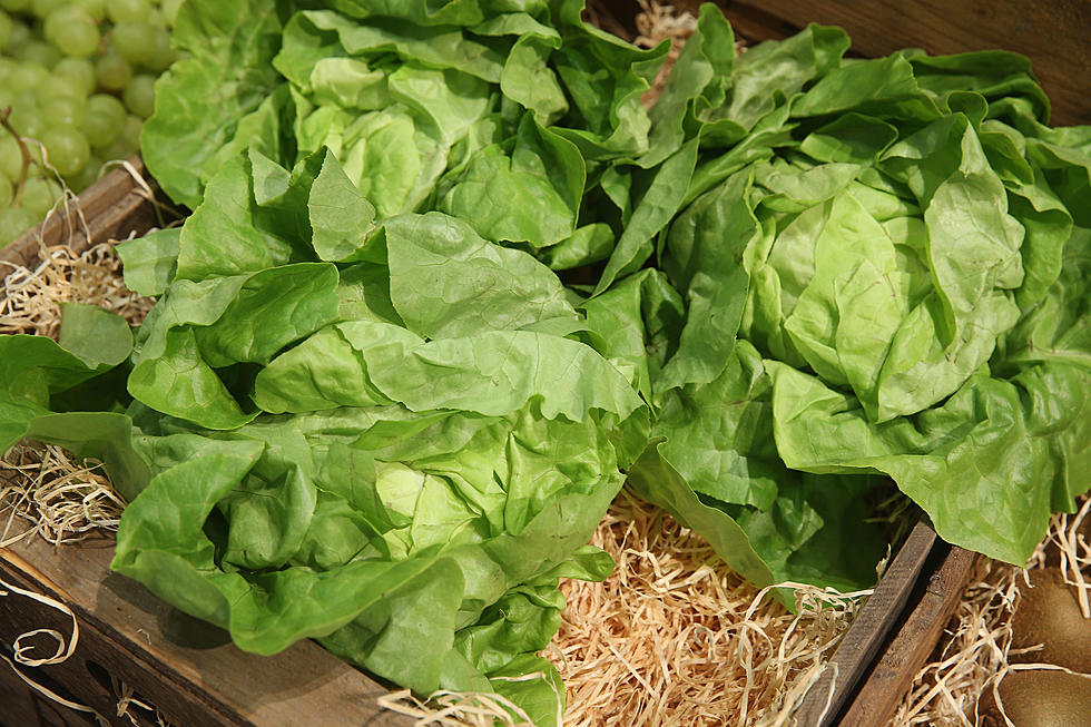 Japan’s Indoor Garden Grows 10,000 Heads of Lettuce a Day