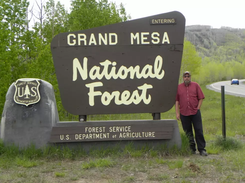 5 Reasons to Make The Grand Mesa a Travel Destination