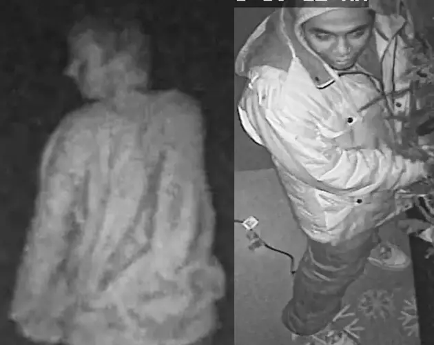 These Two Robbed A Home, Do You Know Who They Are?