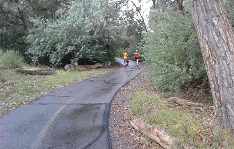 Mesa County Sheriff Says ‘Stay Aware’ When Walking Local Trails
