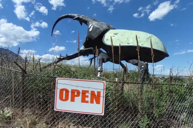 This Roadside Attraction is So Strange You Can Only See it in Colorado
