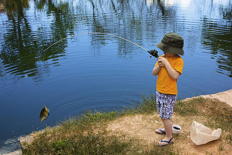 Grab Your Rod: 3 Freshly Stocked Lakes in Western Colorado