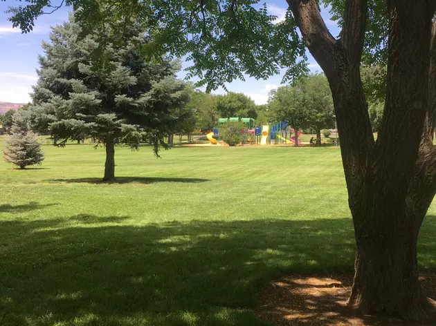 Where is the Best Park in Grand Junction?