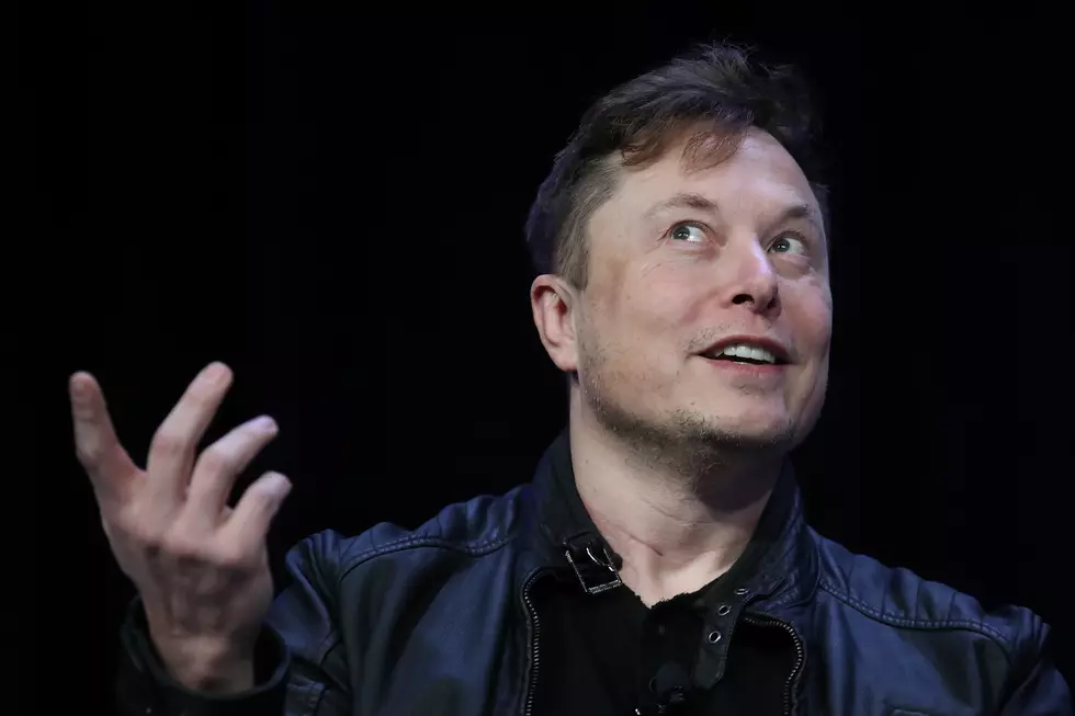 Governor Polis Wants Elon Musk to Move Tesla HQ to Colorado