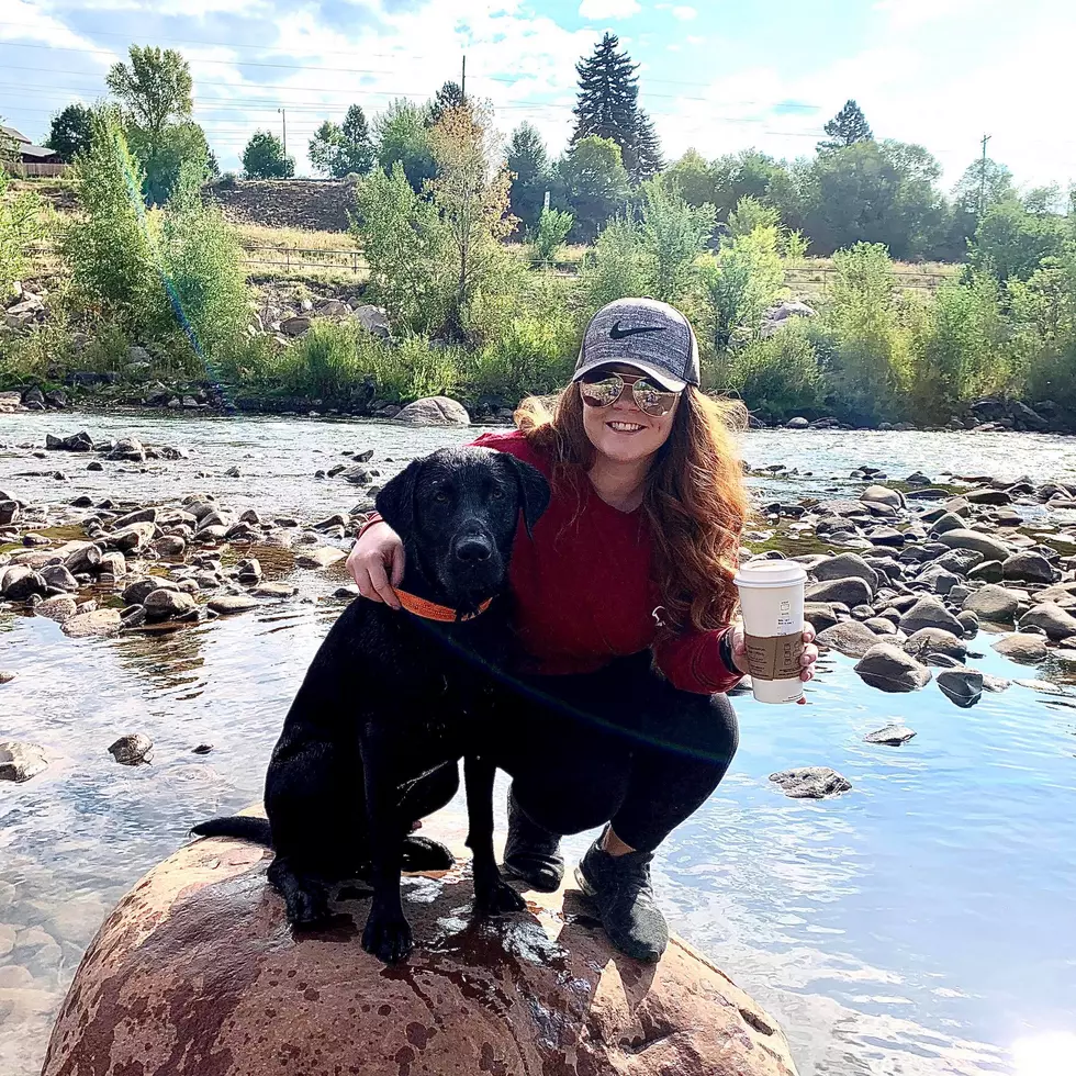 Woman + Dogs Miraculously Survive Mountain Fall Near Telluride